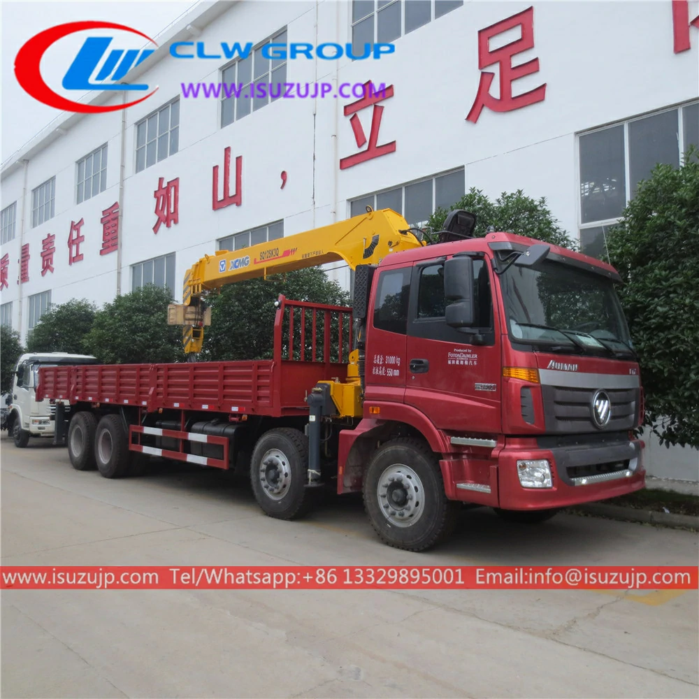 12 wheel ​Foton 25 ton ​truck mobile crane