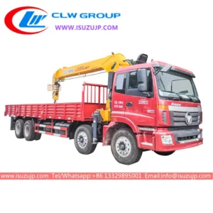 8x4 Foton 25T mobile crane truck Qatar