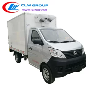 Chang An mini freezer truck Egypt