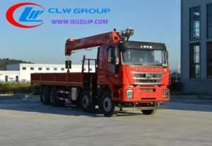 GENLYON 16000kg palfinger boom truck Mauritius